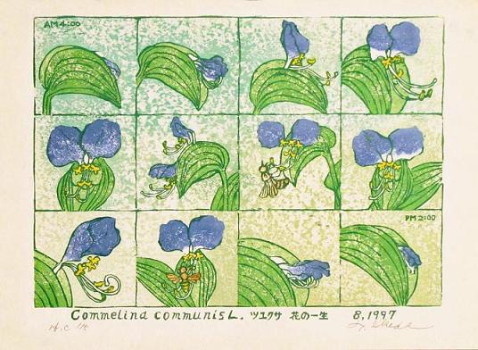 池田利夫の植物図鑑