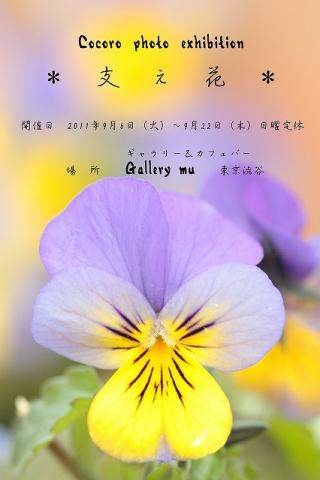 ＊　支　え　花　＊　Cocoro　photo　exhibition