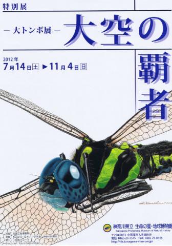 2012年度特別展「大空の覇者 －大トンボ展－」