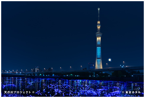 東京ホタル ひかりのシンフォニー 　　　　　　　　　　　　　　　　　　　　　　　　　- TOKYO HOTARU FESTIVAL 2013