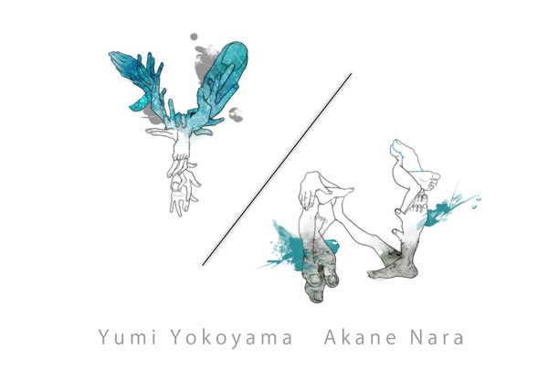 Y/N展