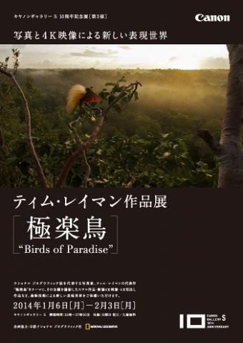 ティム・レイマン作品展『極楽鳥』～Birds of Paradise～