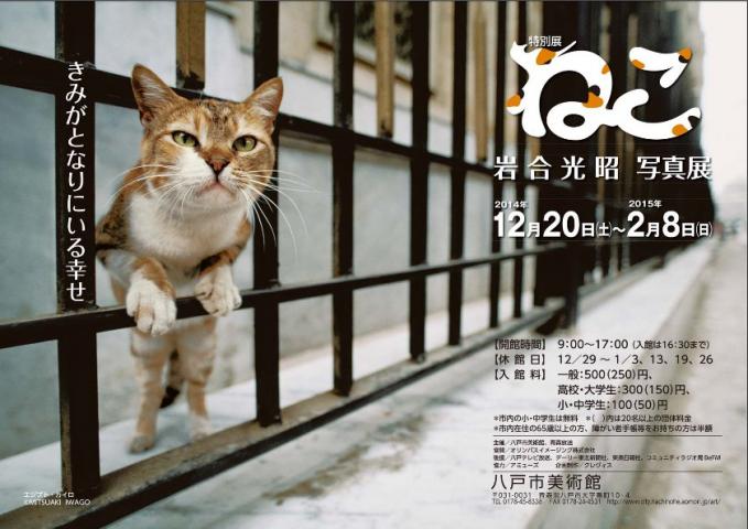 ねこ 岩合光昭写真展