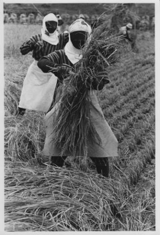 生誕100年　写真家・濱谷浩　  ―もし写真に言葉があるとしたら