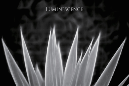  那須潔 個展「Luminescence」