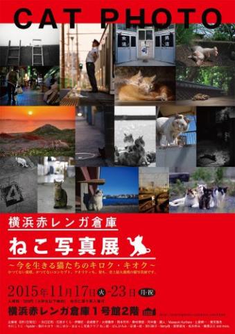 横浜赤レンガ倉庫　ねこ写真展 ～今を生きる猫たちのキロク・キオク～