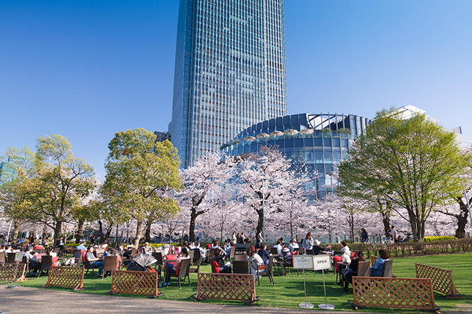 Midtown Blossom 2016