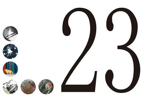 ２３