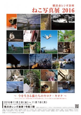 横浜赤レンガ倉庫 ねこ写真展2016 ～今を生きる猫たちのキロク・キオク～