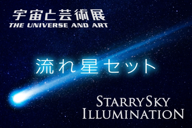 【美術展・展覧会】宇宙と芸術展：かぐや姫、ダ・ヴィンチ、チームラボ