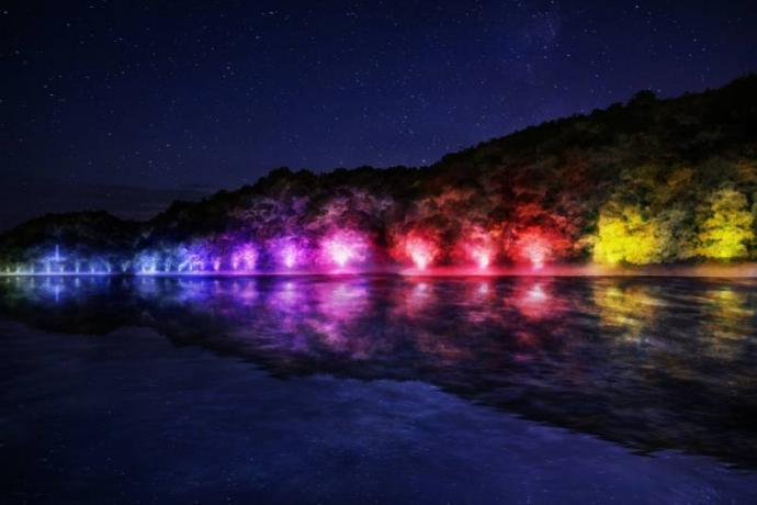 チームラボ 森と湖の光の祭