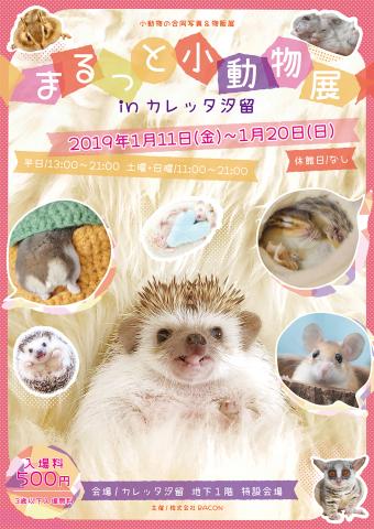 小動物の合同写真＆物販展「まるっと小動物展 in カレッタ汐留」