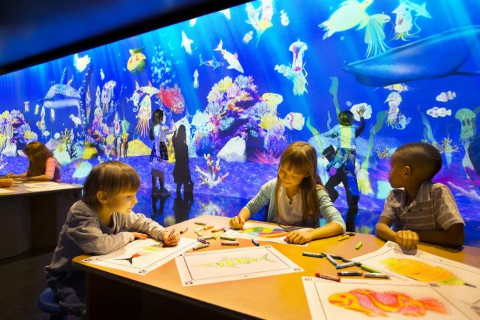 チームラボ お絵かき水族館