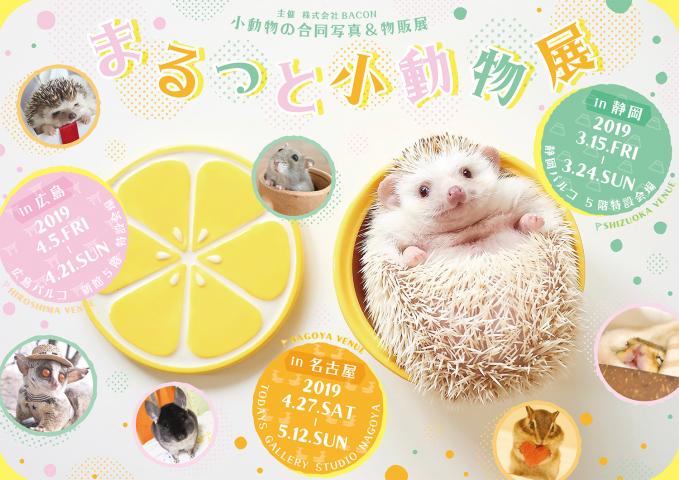 小動物の合同写真＆物販展「まるっと小動物展 in 静岡」