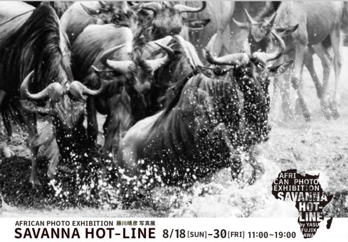 藤川靖彦写真展「SAVANNA HOT-LINE」