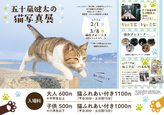 五十嵐健太の「飛び猫」写真展