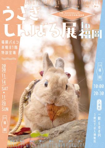 うさぎの合同写真展＆物販展「うさぎしんぼる展 in 福岡」