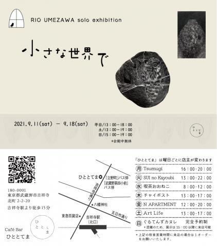 RIO UMEZAWA solo exhibition「小さな世界で」