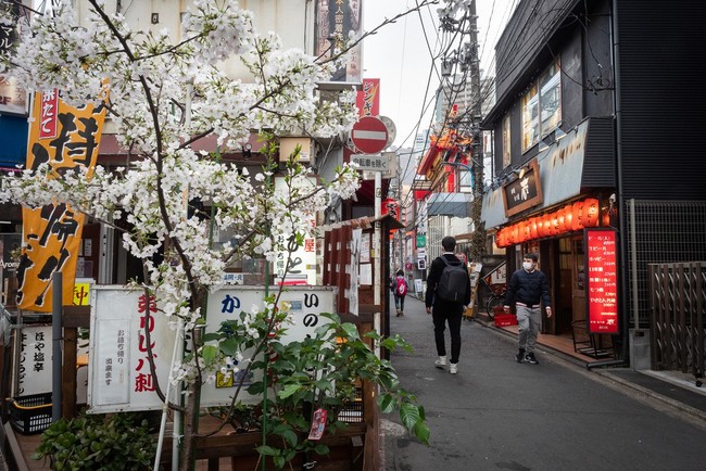 足立君江　写真展「東京の横丁一本桜」