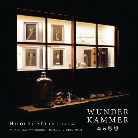 新野 洋 個展 「WUNDERKAMMERー森の思想ー」