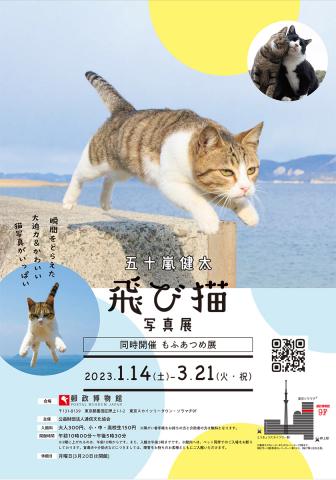 五十嵐 健太　飛び猫写真展　in 郵政博物館