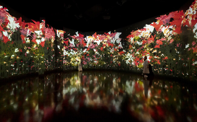 teamLab: Impermanent Flowers Floating in a Continuous Sea