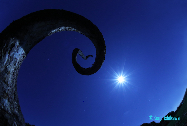 石川賢治月光写真展 月光浴『月夜の晩に』を開催！