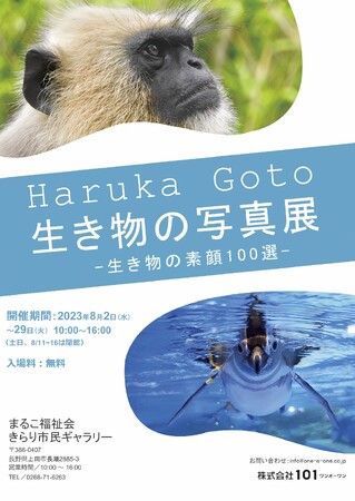 HARUKA GOTO　生き物の写真展2023~生き物の素顔100選~