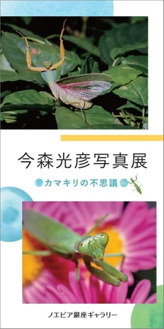 今森光彦写真展「カマキリの不思議」