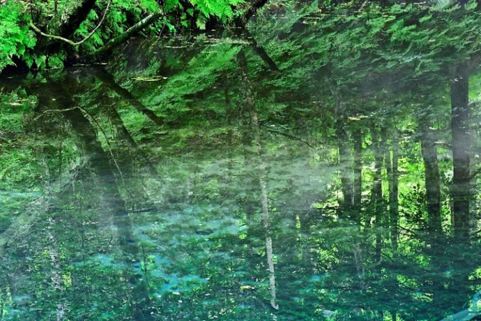 浅野 久男　写真展　「Past Light　光にふれる」