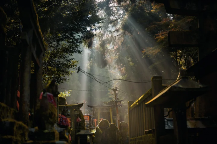 山田悠人 写真展「JAPANISM」