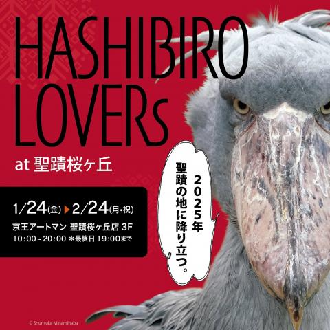 HASHIBIRO LOVERs