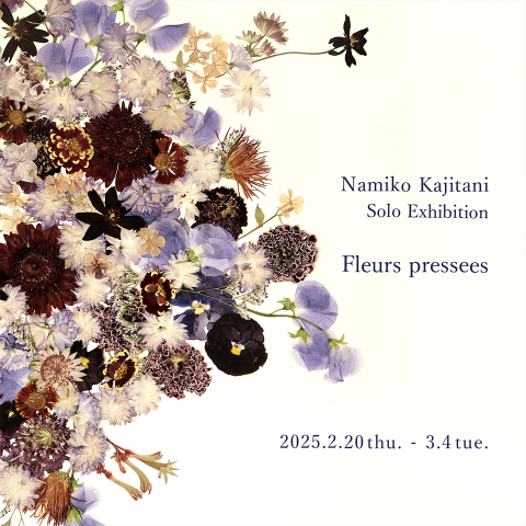 梶谷奈允子 個展 「Fleurs pressees」